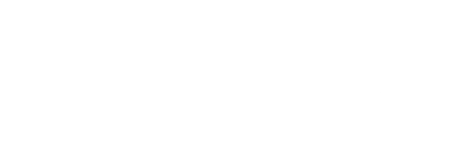 Phoenix Venture Holdings